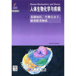 生物化學(xué)基礎糖類(lèi)知識
