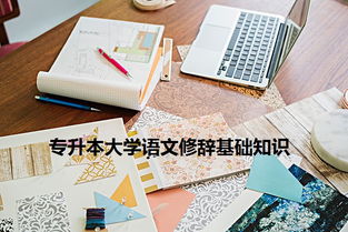 廣西,專(zhuān)升本,基礎知識,語(yǔ)文