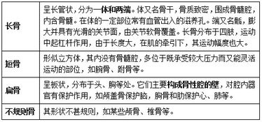 事業(yè)編考試醫(yī)療基礎(chǔ)知識(shí)考什么區(qū)別