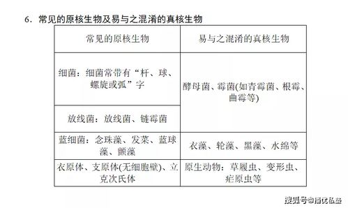 細胞的生活基礎知識反饋