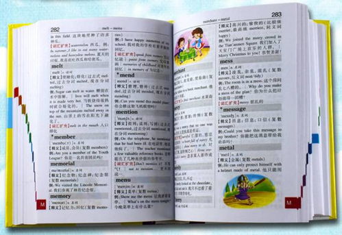 小學(xué)語(yǔ)數英基礎知識