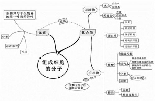 初中細胞生物基礎知識