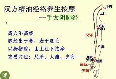 中醫基礎知識大全