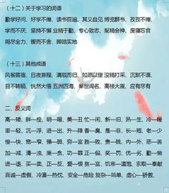 基礎知識,小學(xué)生