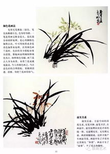 中國畫(huà)基礎知識教案,中國畫(huà)基礎知識及技能,中國畫(huà)基礎知識ppt