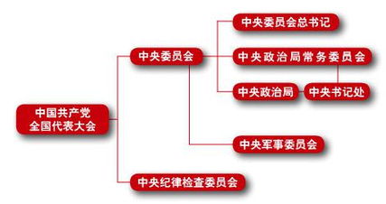 社區工作者基礎知識和實(shí)物
