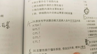 檢察專(zhuān)業(yè)基礎知識真題,審判專(zhuān)業(yè)基礎知識真題,檢察專(zhuān)業(yè)基礎知識難嗎