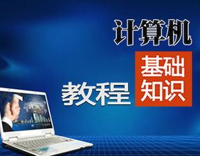 初中電腦基礎(chǔ)知識教程軟件