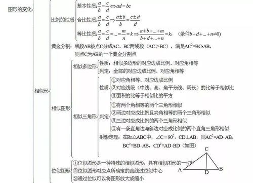 初中數學(xué)知識點(diǎn)基礎梳理