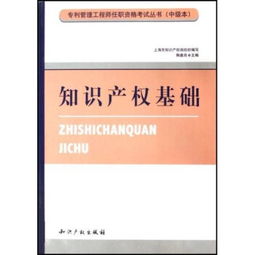 知識產(chǎn)權基礎先行