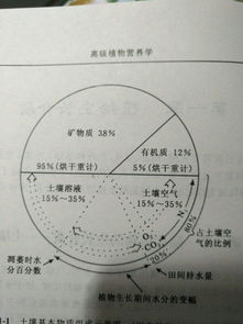 植物營(yíng)養學(xué)基礎知識