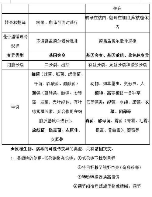 高中生物基礎知識與能力