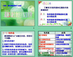無(wú)菌技術(shù)的相關(guān)知識,無(wú)菌技術(shù)相關(guān)知識試題,無(wú)菌技術(shù)相關(guān)知識ppt