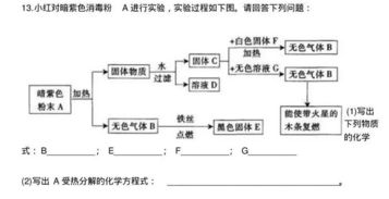 中考化學(xué)知識點(diǎn)基礎