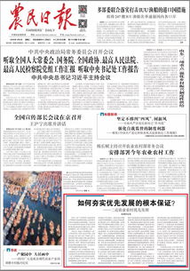 怎樣夯實(shí)發(fā)展基礎知識