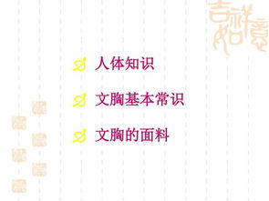 基礎知識,內衣,ppt