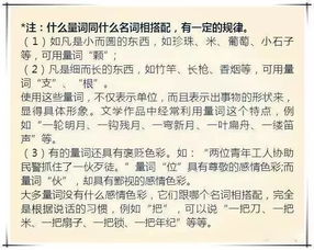 小學(xué)語(yǔ)文基礎知識大全,小學(xué)語(yǔ)文基礎知識歸納,小學(xué)語(yǔ)文語(yǔ)法基礎知識