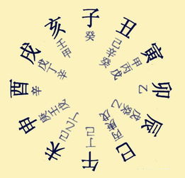 百度八字基礎知識