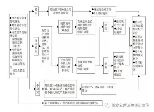 嚴重精神障礙基礎知識