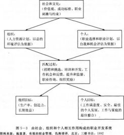 基礎的人力資源管理知識