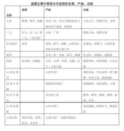 表格的入門(mén)基礎知識