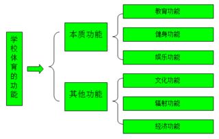 基礎知識,體育