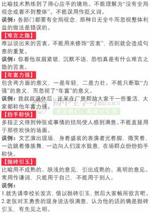 考查,成語(yǔ),基礎知識,初中語(yǔ)文