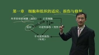 醫學(xué)基礎知識種子