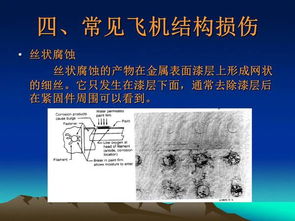 飛機維修基礎知識,飛機駕駛基礎知識,航模飛機設計基礎知識