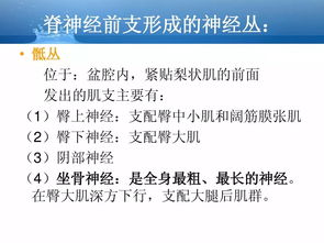 超全的人體解剖基礎知識匯總ppt