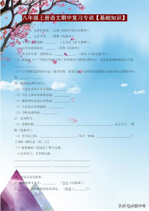 八級拼音基礎知識