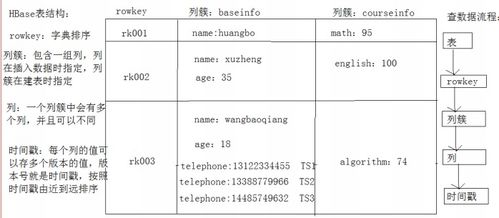 cxcel表的基礎知識