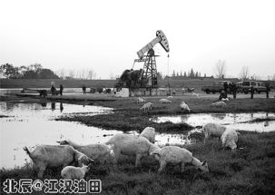 江漢油田采油地質(zhì)基礎知識