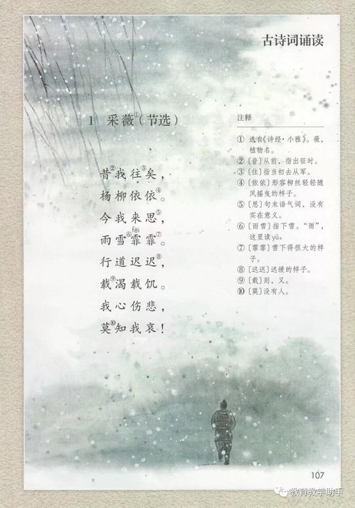 古詩(shī)詞基礎知識要點(diǎn)