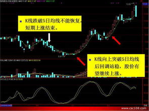 均線(xiàn)圖基礎知識講解