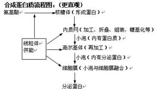 細胞生物基礎知識(上)
